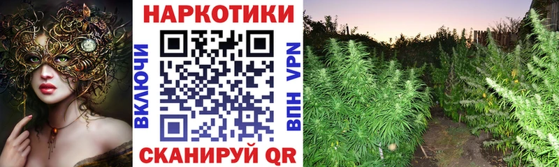 Как найти закладки Завитинск Канабис Alpha-PVP ГАШ МДМА Меф мяу мяу Амфетамин