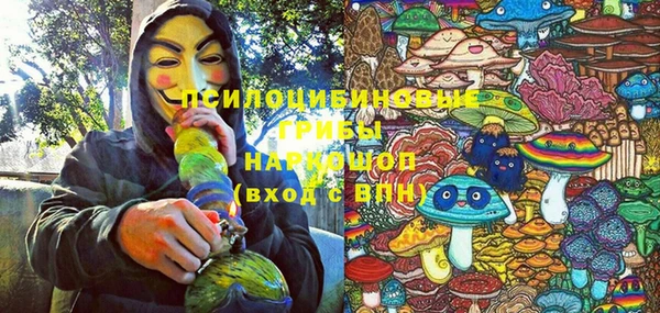 стафф Алексеевка
